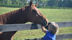 Courage, equine-assisted therapy, Central Kentucky Riding for Hope, America's Best Racing, horse racing, ABR